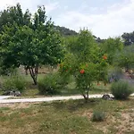 Goga * Skradin
