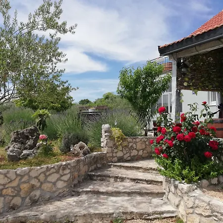 Goga * Skradin